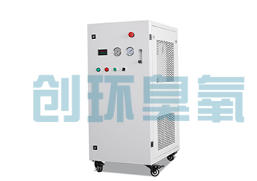 渝中石斑鱼养殖水质调控完整指南:臭氧发生器配置与操作步骤