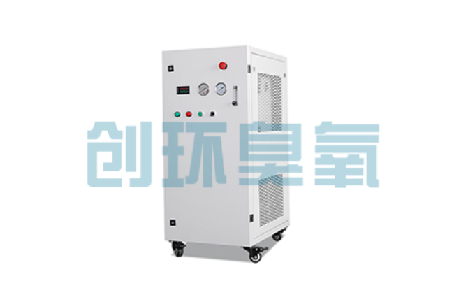 渝中比传统换水更高效?臭氧发生器在石斑鱼养殖中的水质净化原理解析