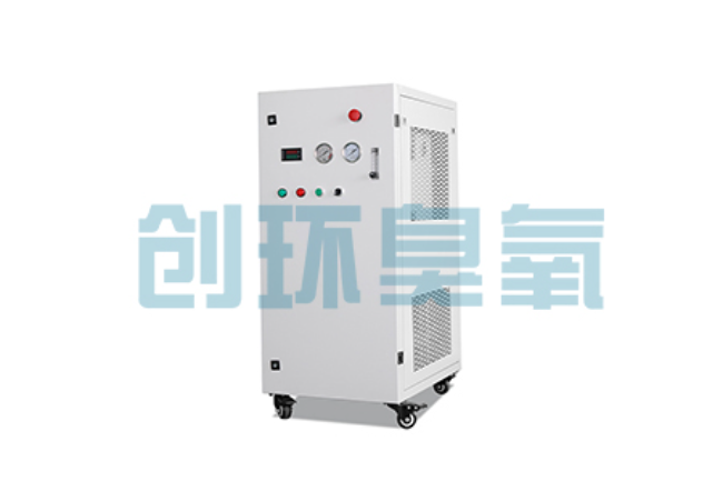渝中比传统换水更高效？臭氧发生器在石斑鱼养殖中的水质净化原理解析